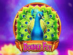 Double Fly game thumbnail